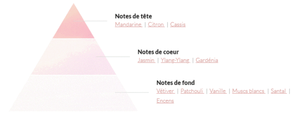 Black Orchid Tom Ford Dark Orchid