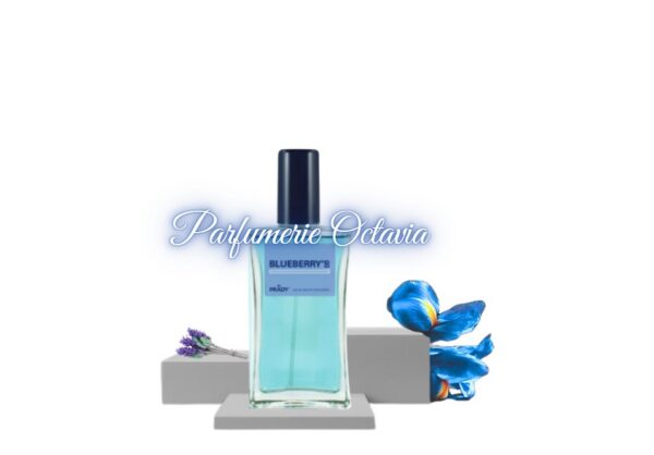 Blueberry's Blueberry's