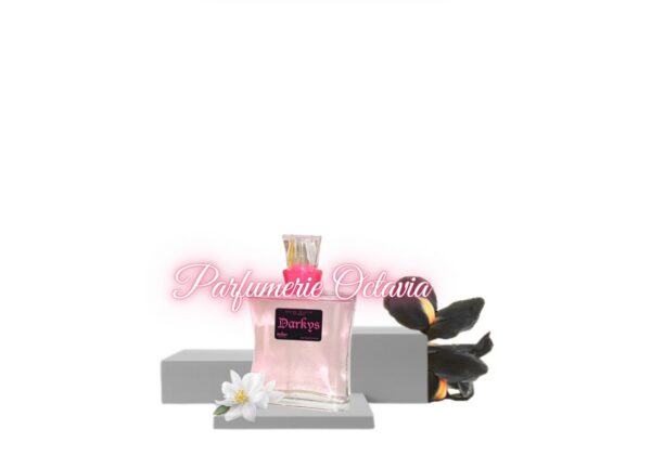 Darkys