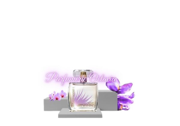 Extenzo young Extenzo Young