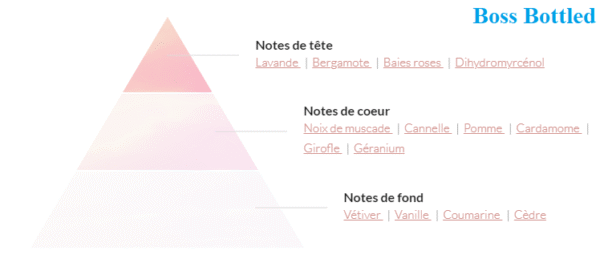 boss bottled Bosic Rocket