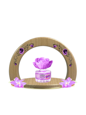 Mûre de Fruit et Company